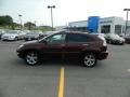 2008 Brandywine Mica Lexus RX 350  photo #2