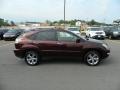 2008 Brandywine Mica Lexus RX 350  photo #6