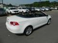 2009 Candy White Volkswagen Eos Lux  photo #5