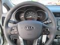 2012 Silverstone Beige Kia Rio EX  photo #16