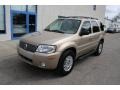 Dune Pearl Metallic - Mariner Luxury 4WD Photo No. 3