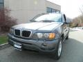 Steel Grey Metallic 2002 BMW X5 4.4i