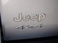 2004 Bright Silver Metallic Jeep Liberty Limited 4x4  photo #35