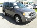 2012 Sterling Gray Metallic Ford Escape XLT V6  photo #1