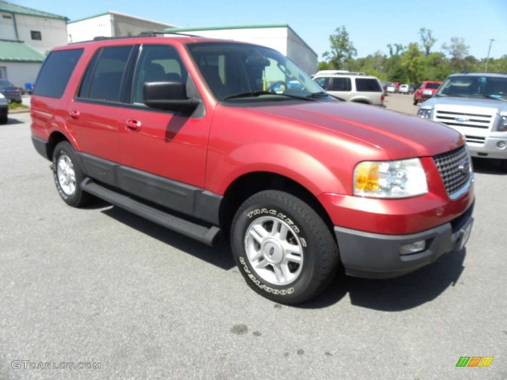2003 Expedition XLT - Laser Red Tinted Metallic / Medium Parchment photo #1