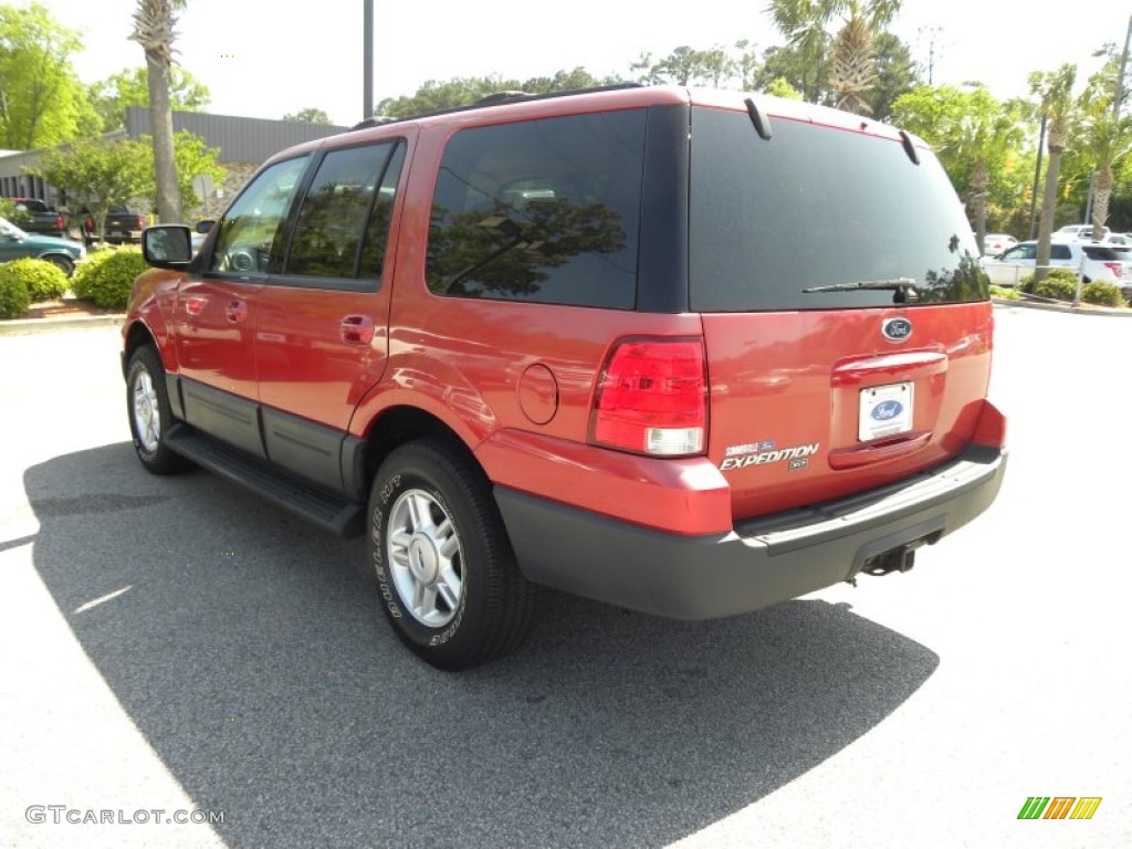 2003 Expedition XLT - Laser Red Tinted Metallic / Medium Parchment photo #19
