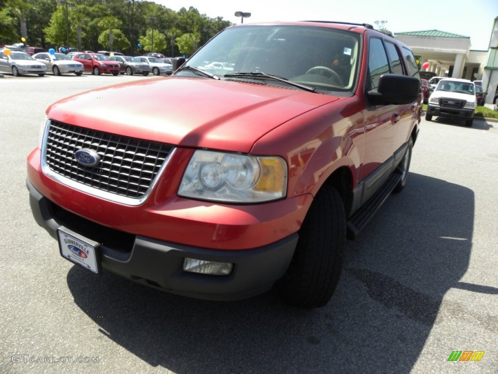 2003 Expedition XLT - Laser Red Tinted Metallic / Medium Parchment photo #24