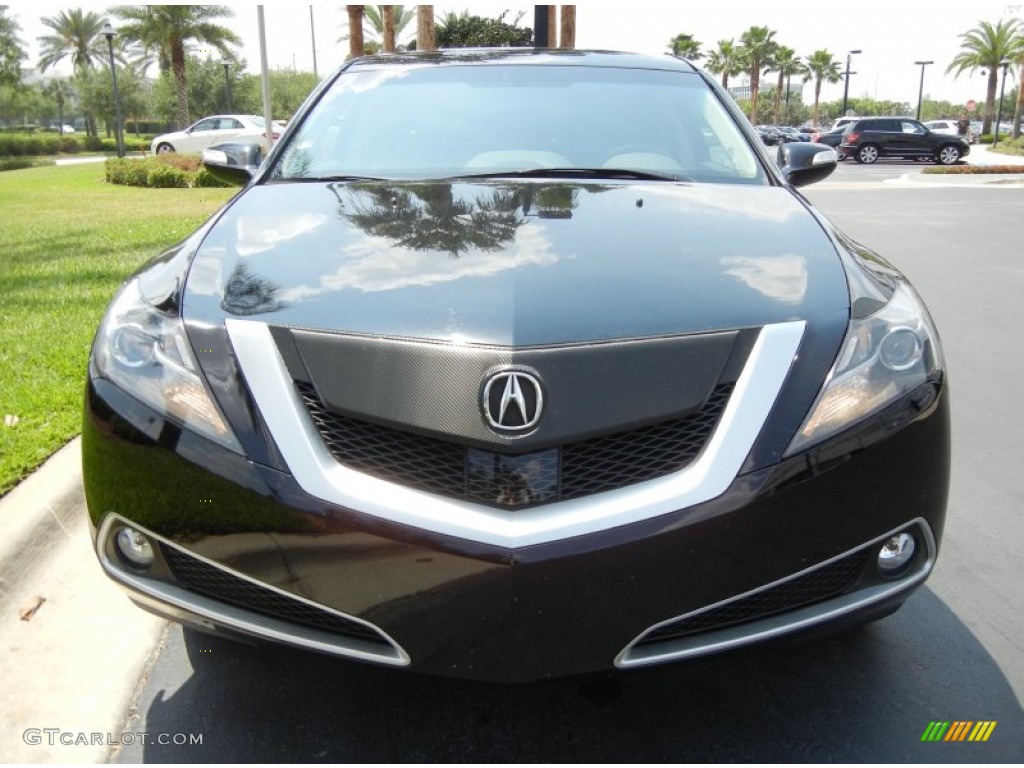 Crystal Black Pearl 2010 Acura ZDX AWD Technology Exterior Photo #63637984