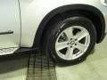 Titanium Silver Metallic - X5 4.8i Photo No. 32