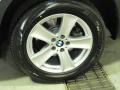 Titanium Silver Metallic - X5 4.8i Photo No. 36