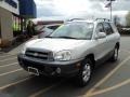 Pewter - Santa Fe GLS 4WD Photo No. 1