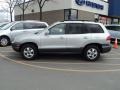 Pewter - Santa Fe GLS 4WD Photo No. 6