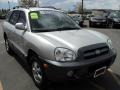 Pewter - Santa Fe GLS 4WD Photo No. 9