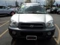 Pewter - Santa Fe GLS 4WD Photo No. 10