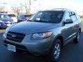 2007 Platinum Sage Hyundai Santa Fe GLS  photo #1