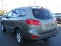 2007 Platinum Sage Hyundai Santa Fe GLS  photo #14