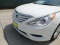 Shimmering White - Sonata GLS Photo No. 10