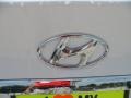 Shimmering White - Sonata GLS Photo No. 16
