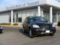 Black - ML 350 4Matic Photo No. 1
