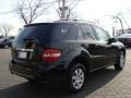 Black - ML 350 4Matic Photo No. 3