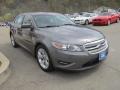 Sterling Grey - Taurus SEL Photo No. 4