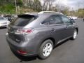 2012 Nebula Gray Pearl Lexus RX 350 AWD  photo #4