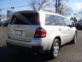 2007 Iridium Silver Metallic Mercedes-Benz GL 450  photo #3