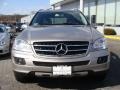 Pewter Metallic - ML 350 4Matic Photo No. 2
