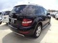 Black - ML 350 4Matic Photo No. 5