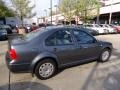 Platinum Grey Metallic - Jetta GL Sedan Photo No. 2