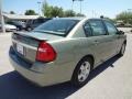 2004 Silver Green Metallic Chevrolet Malibu LT V6 Sedan  photo #8