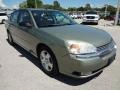 2004 Silver Green Metallic Chevrolet Malibu LT V6 Sedan  photo #10