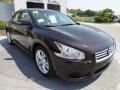 Crimson Black - Maxima 3.5 SV Photo No. 10