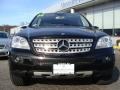 Black - ML 350 4Matic Photo No. 2