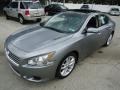 Precision Gray Metallic - Maxima 3.5 SV Photo No. 2