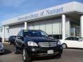 Black - ML 350 4Matic Photo No. 1