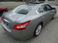 Precision Gray Metallic - Maxima 3.5 SV Photo No. 6