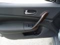 Precision Gray Metallic - Maxima 3.5 SV Photo No. 13