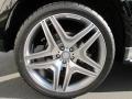 Black - ML 350 Photo No. 17