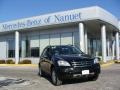 Black - ML 350 4Matic Photo No. 1