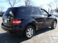 Black - ML 350 4Matic Photo No. 3