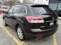 2007 Sparkling Black Mica Mazda CX-9 Grand Touring AWD  photo #7