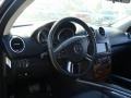 Black - ML 350 4Matic Photo No. 11