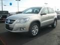 White Gold Metallic - Tiguan SE 4Motion Photo No. 5