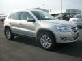 White Gold Metallic - Tiguan SE 4Motion Photo No. 33