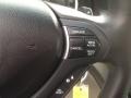 Palladium Metallic - TSX Sedan Photo No. 21