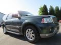 Aspen Green Metallic - Navigator Luxury Photo No. 4