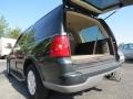 Aspen Green Metallic - Navigator Luxury Photo No. 9