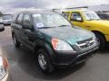 2004 Clover Green Pearl Honda CR-V LX 4WD  photo #1