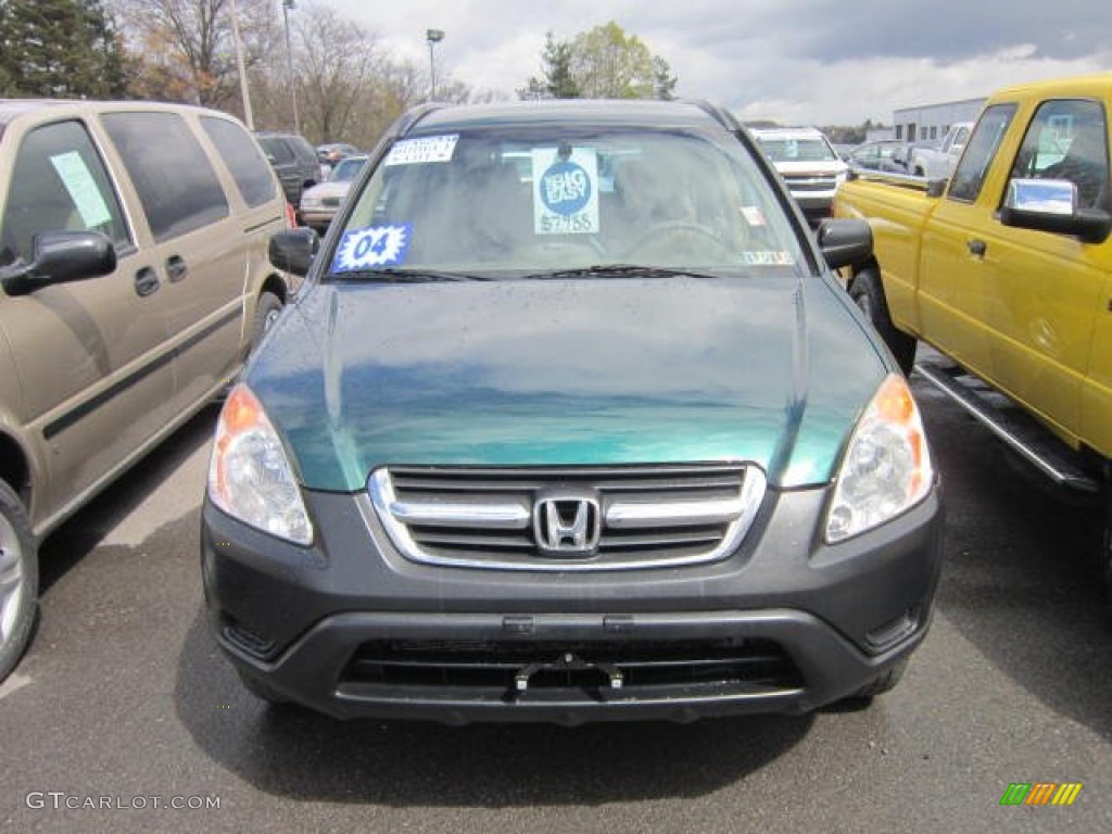 2004 CR-V LX 4WD - Clover Green Pearl / Saddle photo #2